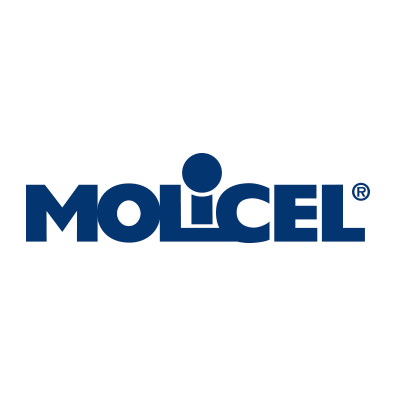 Molicel lithium-ion cell manufacturer